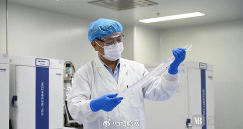 國產生物型人工血管獲創新通道認可，心血管治療迎來新突破